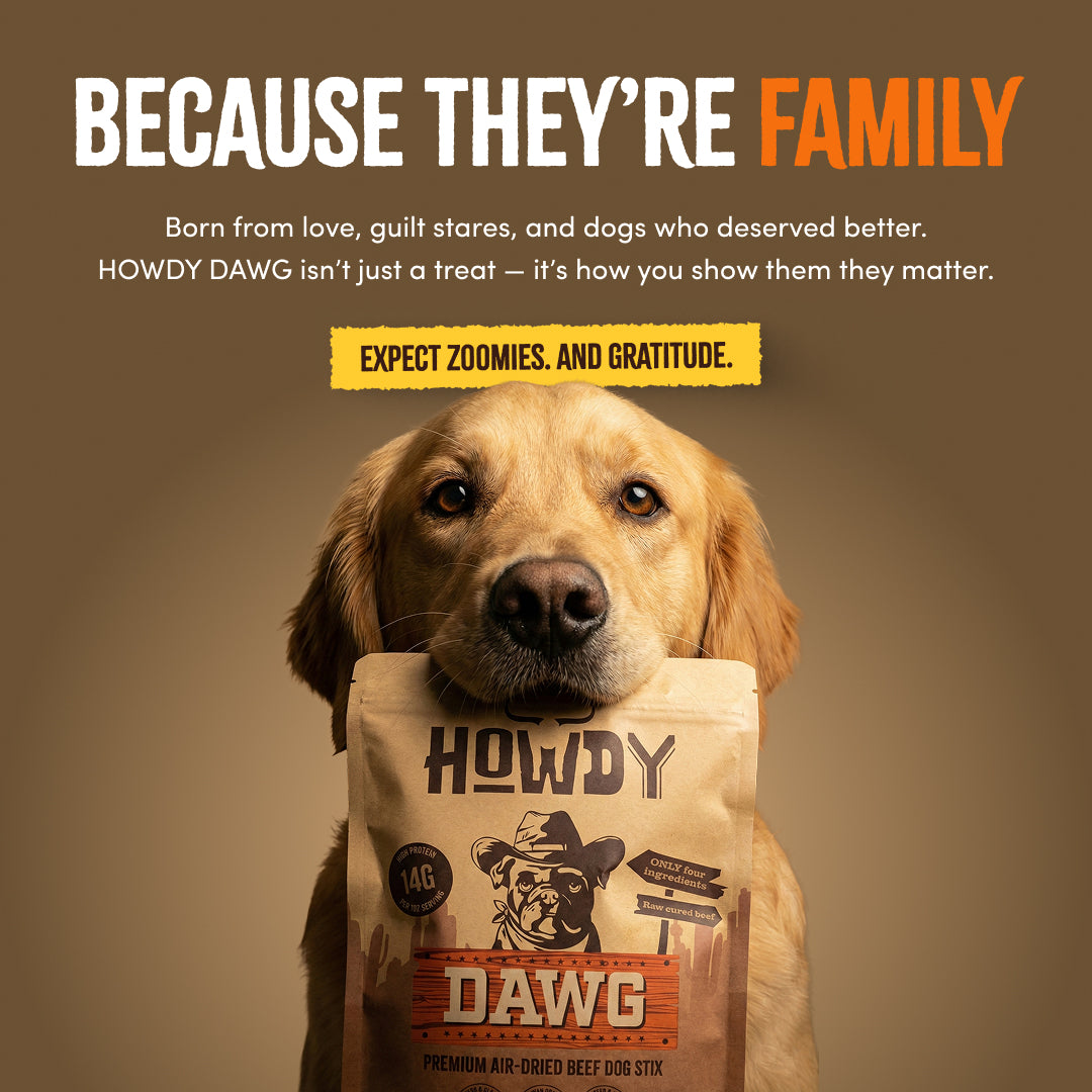 Howdy DAWG - Beef Stix For Dogs